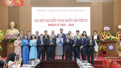 Vietnam-Australischer Freundschaftsverband: Die zentrale Rolle der Beziehungen zwischen den beiden Ländern