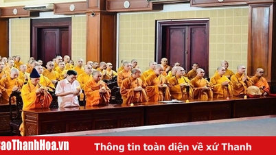 Gần 1.000 tăng ni phật tử cầu nguyện quốc thái dân an đánh dấu thời khắc lịch sử