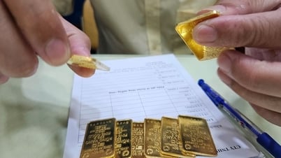 Цена на золотые слитки SJC резко возросла, превысив 120 миллионов донгов/таэль