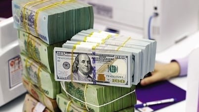 Tỷ giá USD hôm nay (1-7): Đồng Việt Nam tăng so với đồng USD