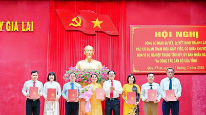 Gia Lai: Công bố quyết định thành lập các cơ quan, đơn vị và công tác cán bộ thuộc diện Ban Thường vụ Tỉnh ủy quản lý