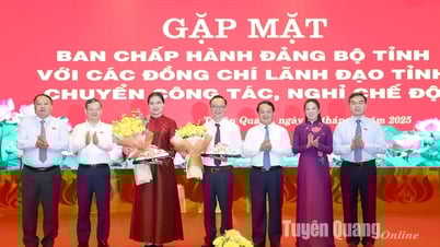 Ban Chấp hành Đảng bộ tỉnh gặp mặt các đồng chí lãnh đạo tỉnh chuyển công tác, nghỉ chế độ