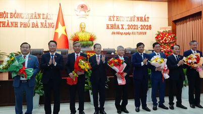 Da Nang nombra nuevo personal para 14 departamentos y sucursales después de la reorganización