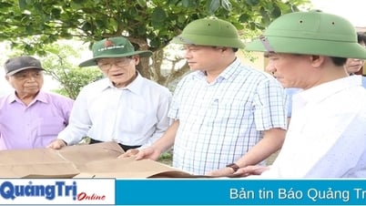 Người của hai quê