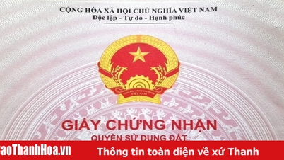 From July 1, the Chairman of the People's Committee at the commune and ward level will directly sign and issue red books.