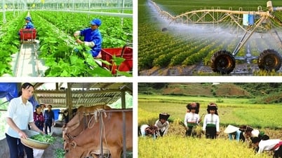 تعزيز اللجنة التوجيهية المركزية للتعداد الريفي والزراعي لعام 2025