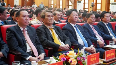 Thành lập 40 đảng bộ, chỉ định bí thư, chủ tịch UBND các xã, phường mới ở Khánh Hòa
