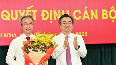 Chuẩn y đồng chí Đặng Minh Thông giữ chức Phó Bí thư Thành ủy TPHCM