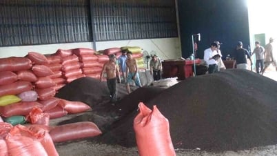 Giá tiêu hôm nay 1/7/2025: Tăng giá cực mạnh