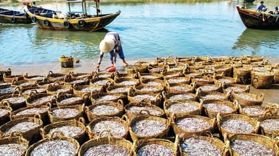 អ្នក​នេសាទ​រវល់​ក្នុង​រដូវ​បិទ​នេសាទ។