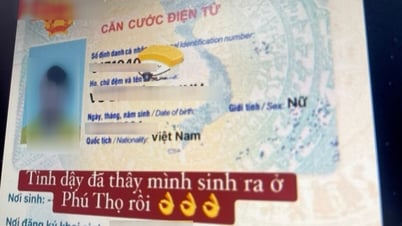 Lên mạng khoe quê quán mới, coi chừng thành 'mồi ngon' cho kẻ lừa đảo