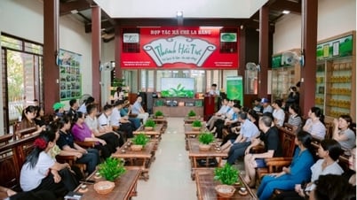 Thái Nguyên: Nông dân La Bằng học cách kể chuyện trà