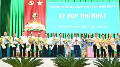 Chủ tịch UBND TPHCM bổ nhiệm 14 Giám đốc, Trưởng các sở, ngành
