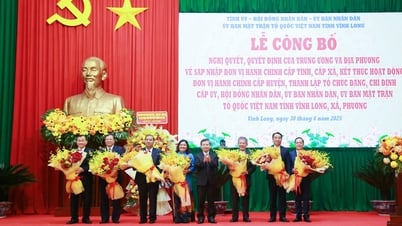 성 합병에 관한 결의안 발표식; 빈롱성 당위원회 설립 결정 "한 성, 한 의지, 한 행동, 한 승리의 신념" 정신 확산