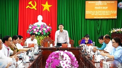 Thẩm tra các dự thảo nghị quyết, đề án trình tại kỳ họp thứ nhất HĐND tỉnh khoá X