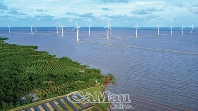 Nhân đôi thế mạnh