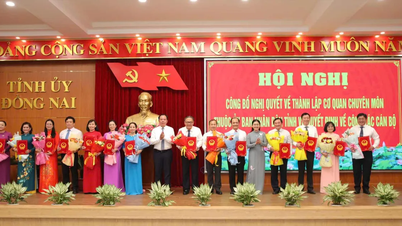 ด่งนาย: จัดตั้งหน่วยงานเฉพาะทาง 14 แห่งภายใต้คณะกรรมการประชาชนจังหวัด