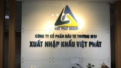 Che giấu giao dịch hàng trăm tỷ đồng với bên liên quan, VPG bị phạt