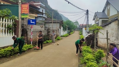 Bóng hồng trên tuyến đường tự quản