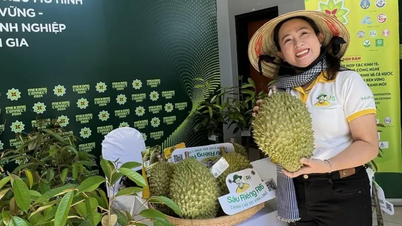 Nguồn lợi lớn đang chao đảo