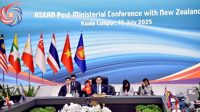 Việt Nam đồng chủ trì Hội nghị Bộ trưởng Ngoại giao ASEAN – New Zealand