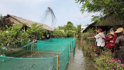 Phát triển, định vị thương hiệu sản phẩm nông nghiệp, dịch vụ nông thôn