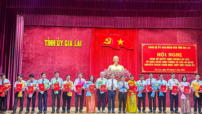 Thành lập 16 tổ chức cơ sở đảng trực thuộc Đảng bộ UBND tỉnh Gia Lai