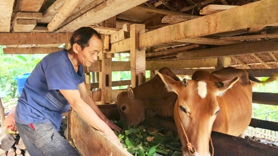 Đầu tư trên 2.000 tỷ đồng thực hiện các chính sách, dự án giảm nghèo  - Báo Cao Bằng điện tử