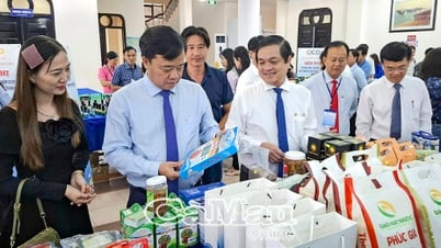 Gắn 5 sao OCOP cho con tôm, cua Cà Mau