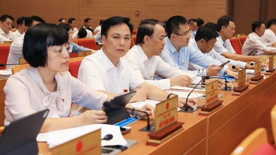 Hà Nội thông qua nghị quyết hỗ trợ bữa ăn bán trú cho học sinh tiểu học