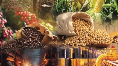 Thị trường hàng hóa nguyên liệu thế giới quay đầu giảm do lo ngại thuế quan từ Mỹ