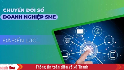 Quản lý công việc cho SME: Bước đầu để vươn ra biển lớn