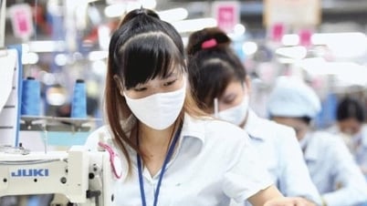 TP Hồ Chí Minh: Số lao động hưởng trợ cấp thất nghiệp giảm sâu