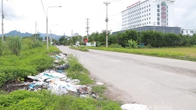 Hành lang đường Lê Lợi biến thành nơi tập kết rác