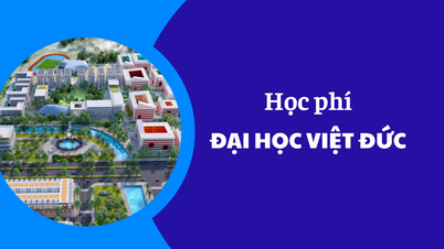 Học phí Đại Học Việt Đức năm 2025-2026