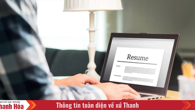 Bí quyết tạo CV xin việc ghi điểm với nhà tuyển dụng trong vài phút