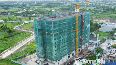 Công khai 10 dự án nhà ở xã hội Đồng Nai đang chọn nhà đầu tư