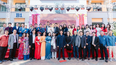 Độc đáo mô hình tự chủ đại học đầu tiên ở Việt Nam: 'Cho tất cả, trừ tiền'