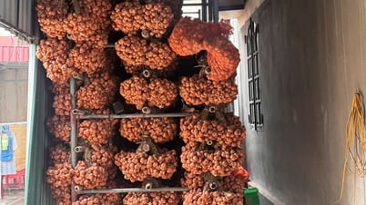 Giá hành khô giảm mạnh