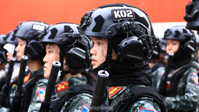 'Hoa thép' nở trên thao trường