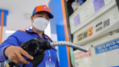 Giá xăng dầu ngày 10/7: Mỹ dự báo giảm sản lượng, giá dầu vẫn cao