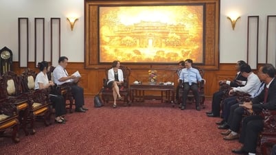 Phó Chủ tịch Thường trực UBND thành phố Nguyễn Thanh Bình tiếp xã giao Tham tán Văn hóa Đại sứ quán Pháp