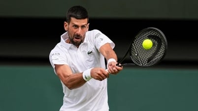 Sinner chạm mặt Djokovic tại bán kết Wimbledon