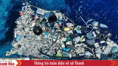 Giải quyết ô nhiễm nhựa: Việt Nam cần nguồn tài chính khoảng 9 tỷ USD