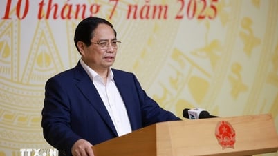Thủ tướng: Nghiên cứu đề xuất điều chỉnh, bổ sung chính sách về đất đai