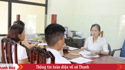 Tòa án khu vực khẩn trương thực hiện nhiệm vụ sau sắp xếp tổ chức bộ máy