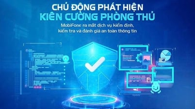 Ứng phó rủi ro với dịch vụ kiểm định, kiểm tra, đánh giá an toàn thông tin