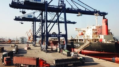 Sản lượng hàng hóa qua cảng biển Quảng Ninh tăng trưởng ổn định
