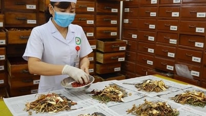 Vị thuốc cổ truyền phải công bố tiêu chuẩn chất lượng trước khi lưu hành