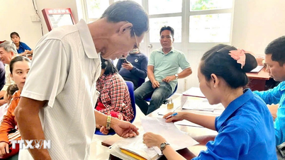 Cần Thơ: Cả hệ thống chính trị chung tay hỗ trợ nhân dân trong chuyển đổi số